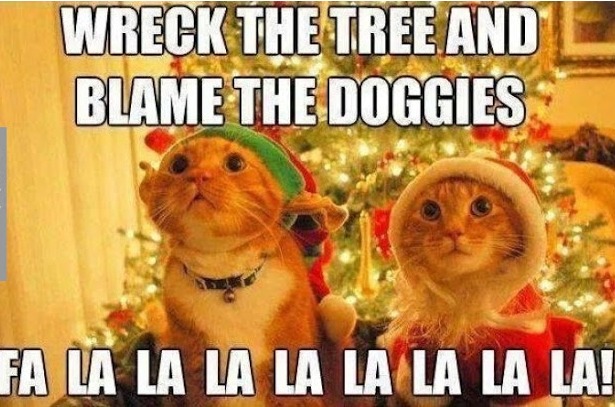 Wreck The Tree